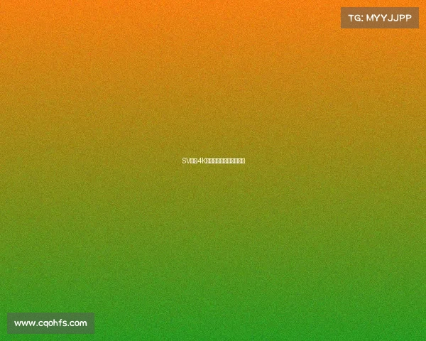 SV战队4K分部：征战之路全新启航